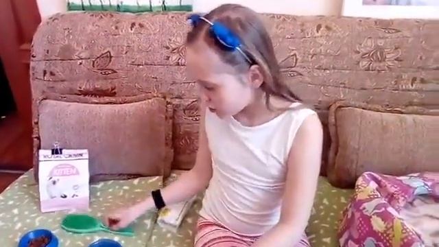 Как ухаживать за котенком
