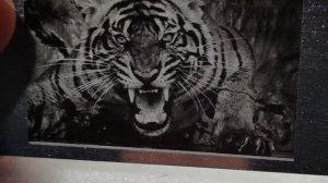 Фото гравировка, другой способ гравировать фото - ТОЛЬКО ПРИМЕР из обучающего материала