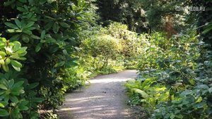 Они часто не в себе: Топ 5 «психов» по знаку Зодиака