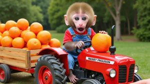 Видео для детей. Обезьянка игрушка играет. Играем в игрушечный трактор. Детям.