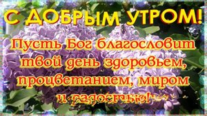 Доброе утро!🌞 Красивые открытки с добрым утром!
