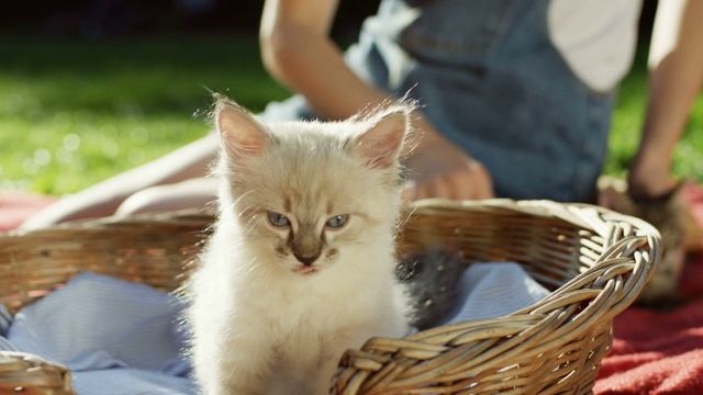 английские слова