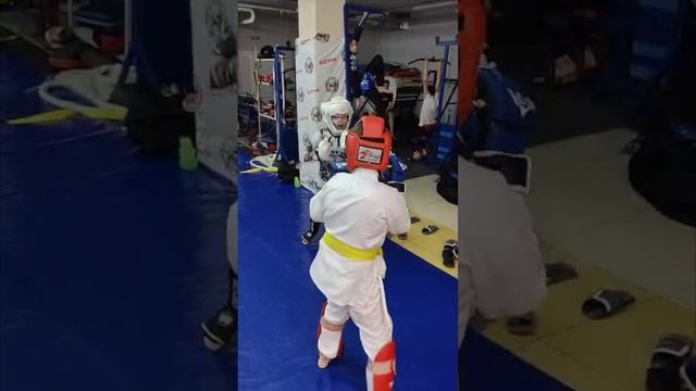 Тренировки по смешанным единоборствам