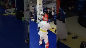 Тренировки по смешанным единоборствам