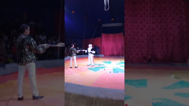 Цирк Хлысты смотреть онлайн