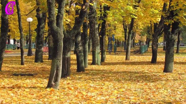 Жасминовый бульвар осень2016год. Харьков. смотреть онлайн