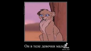 Подборка из ТТ Мой прайд #2