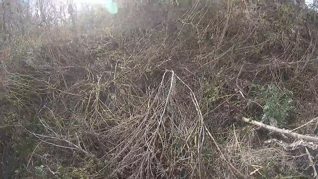 23.10.16 Страйкбол. волгодонск. Лиманск. Студент