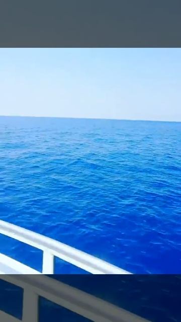 UTOPIA WORLD Hotel развлечения смотреть онлайн