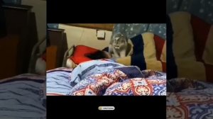 Лежи!Я недоделал 😻😍☺️