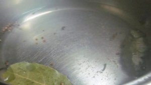 Терн маринованный как оливки