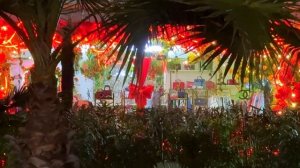 Жизнь на Ялтинской набережной: Море, погода, друзья человека.Цены на картофель