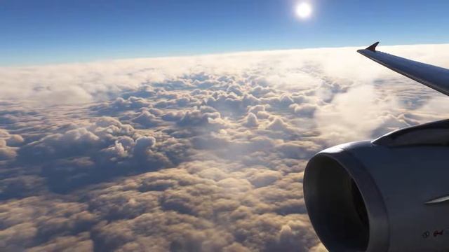 MFS2020 | Москва (UUDD) - Самара (UWWW) Fenix a320