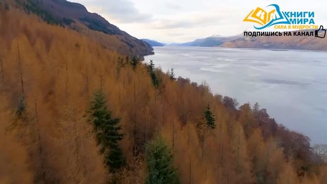 Семья vs Карьера: Путь к Балансу с НИКОШО и Экхартом Толле