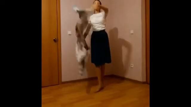 Танцевальный коллектив Энерджи г. Краснодар