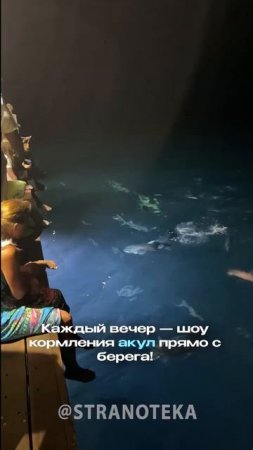 Первый отель на Мальдивах с системой питания «Платинум Все включено»!🇲🇻