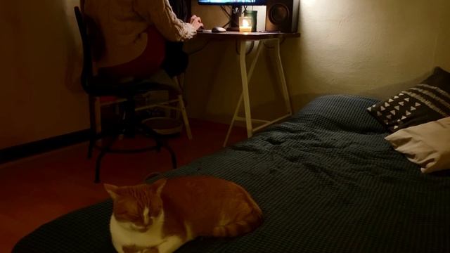 Рабочие и выходные дни монтажёра смотреть онлайн