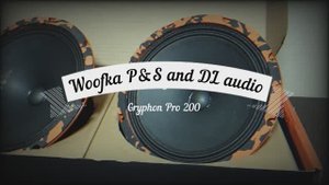 Обзор Gryphon Pro 200 от DL audio