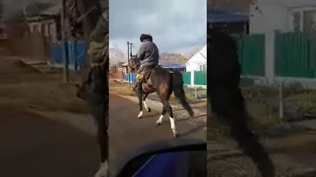 Кентавр смотреть онлайн