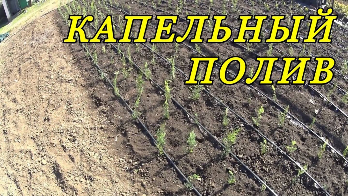 Капельный полив своими руками: пошаговый монтаж для идеального урожая 💧🌱