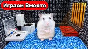 РОСКОШНЫЙ лабиринт-тюрьма: новые приколы с Умным Хомяком 🐹🏰 Видео для детей 🐹🏰