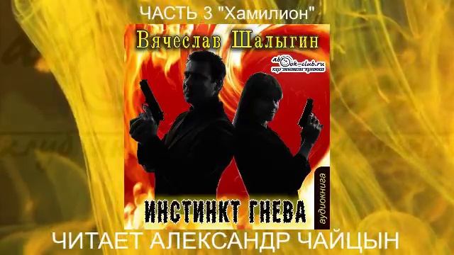 01.03 Вячеслав Шалыгин Сыщик Туманов книга 1 Инстинкт гнева часть 3