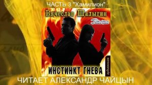 01.03 Вячеслав Шалыгин "Сыщик Туманов" (книга 1) "Инстинкт гнева" (часть 3)
