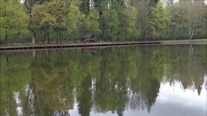 Обзор с нижнего водоёма. Клёвое место, Лосиный остров.