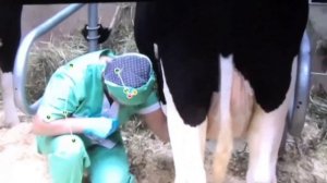 трекинг сотрудников