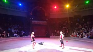 Акробатическая пара в цирке /Выступление акробатов / Акробаты пара /Пара акробатов Acrobatic duo