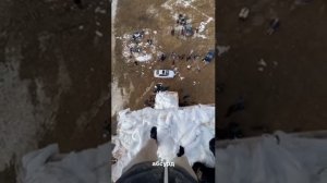 Литвин побег от полиции. Литвин много ваты