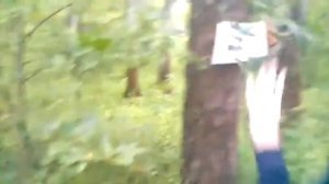 Вызов Духов // Безглазый Джек // Каратели Дотки Архив