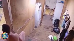 Пьяная лестница