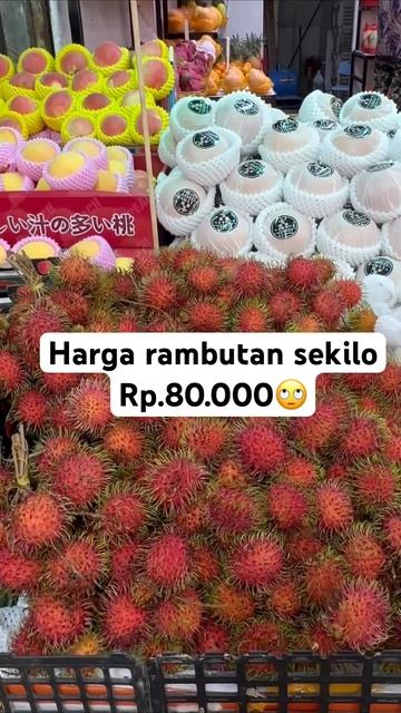 Hargany Bikin melongo🙄#viral #travelvlog #tkwhongkong #travel #funny #explore #adventure смотреть онлайн