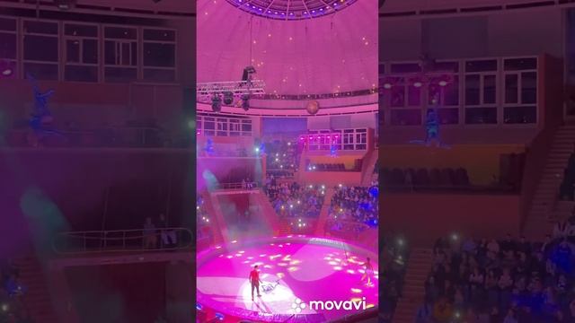 Цирк в Сочи смотреть онлайн