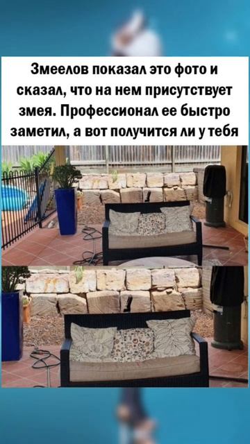 #юмор #актив #позитив #поззи #приколы #доброеутро #добрыйвечер #meme #добрыйдень