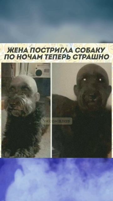 #мемы #юмор #пози #смешное Доброе утро Всем 👍 смотреть онлайн