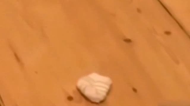 Я РЖУ ПОЛЧАСА - Коты против огурцов!! Угар с животными - ПРИКОЛЫ С КОТАМИ смотреть онлайн