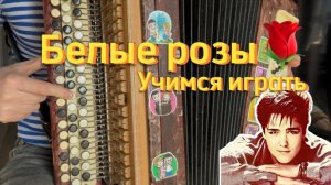 Учимся играть на баяне "БЕЛЫЕ РОЗЫ" Ласковый май