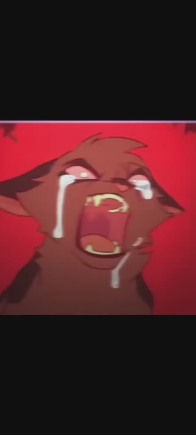 Коты воители/ уголёк★ † смотреть онлайн