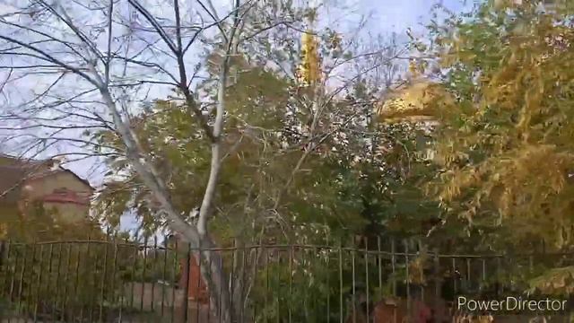 супервыходной. Прогулка по Волжскому. Смотрите все! смотреть онлайн