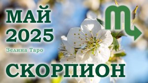 СКОРПИОН | ТАРО прогноз на МАЙ 2025 года | Желание | Расклад таро | Таро онлайн