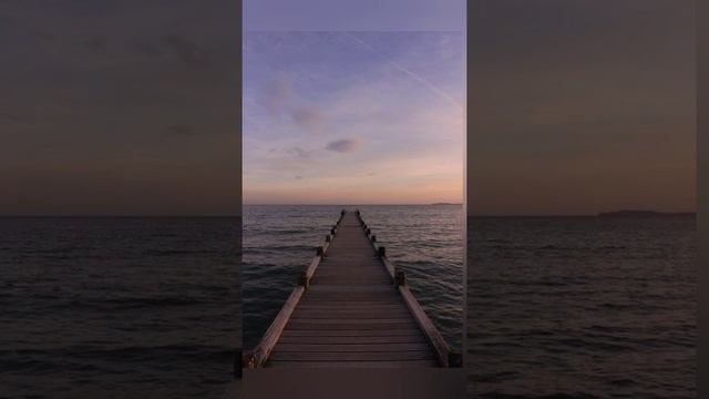 Я оснанусь одна на на на зрведу 10 кошек буду вечна пена🤔вопрос сколько это видео набирает лайков? смотреть онлайн