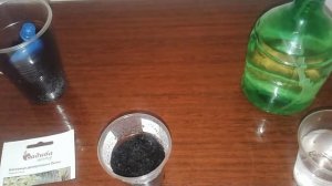 Как посадить кострицу семенами  для озеленения участка