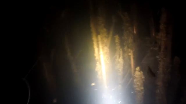 амурчик смотреть онлайн