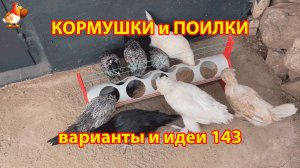 Кормушки и поилки для кур своими руками (143) 🪚✂️ Пошаговая инструкция как сделать 🐔 🐓❣️