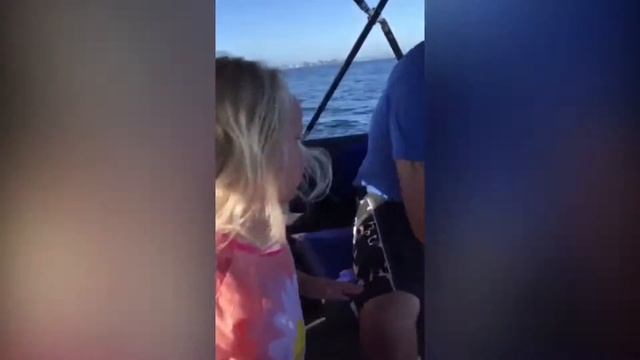 Животные пугают смотреть онлайн