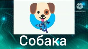 Енотки + ШИЗА =