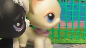LPS сериал: Детский дом 15 серия