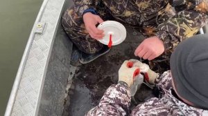 Рыбалка Горный Балыклей, Апрель 2025